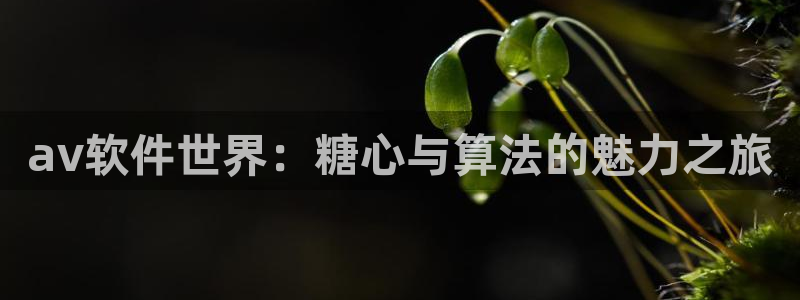 糖心vlog网络错误:av软件世界:糖心