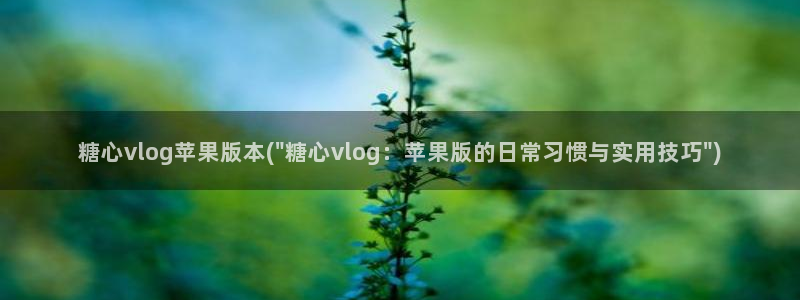 糖心vlog男主:糖心vlog苹果版本(