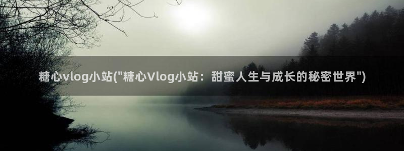 蜜桃糖心vlog:糖心vlog小站(\