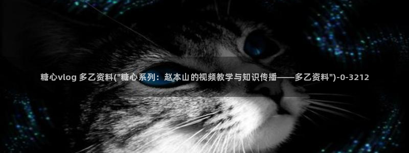 vlog糖心大全:糖心vlog 多乙资料